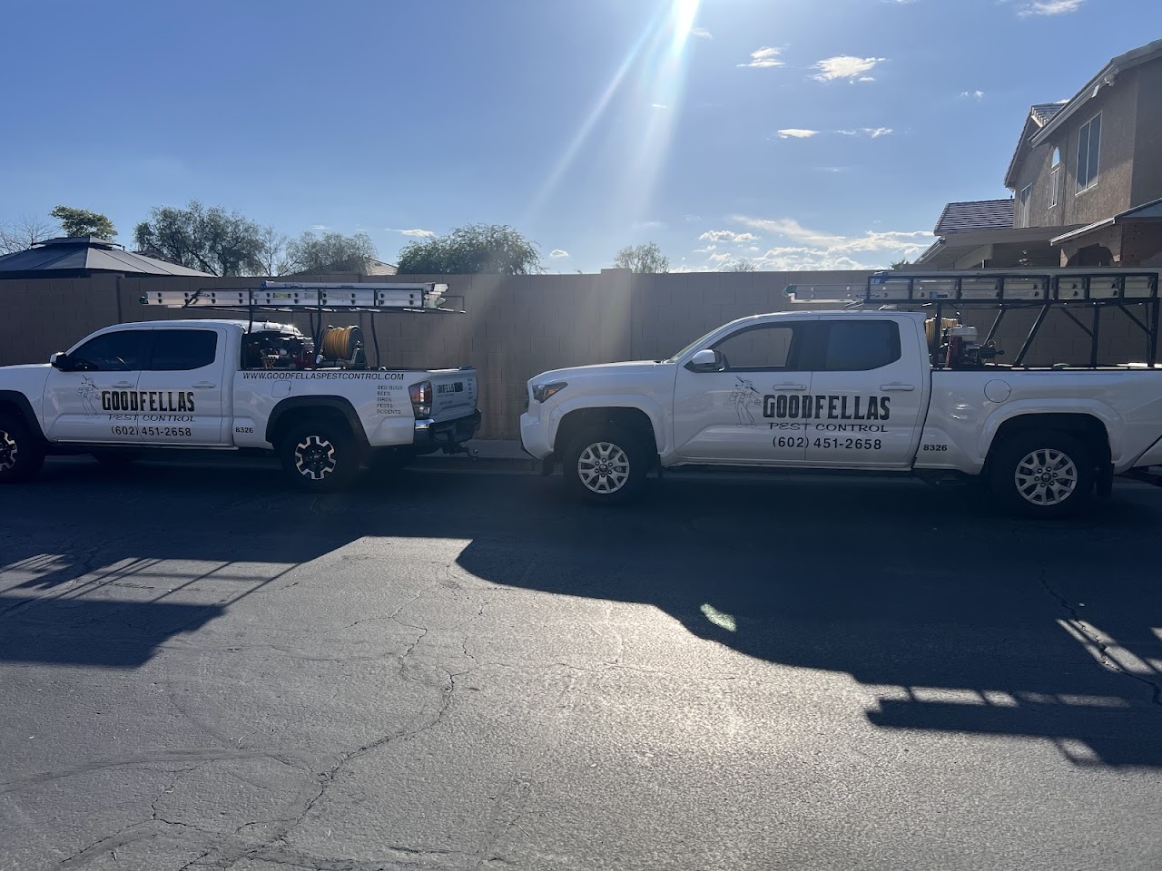 Goodfellas Pest Control project